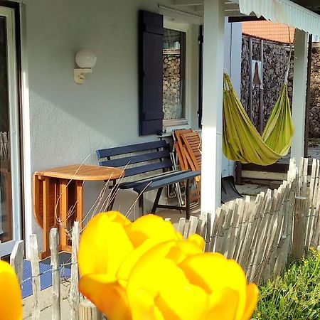 Ferienwohnung Schuhmacherwerkstatt Wilhelm Wendel Loßburg Dış mekan fotoğraf